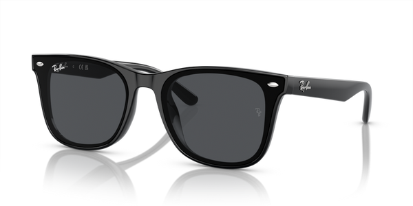 Guarnizione Frontale ricambio originale Ray-Ban ZRB442072