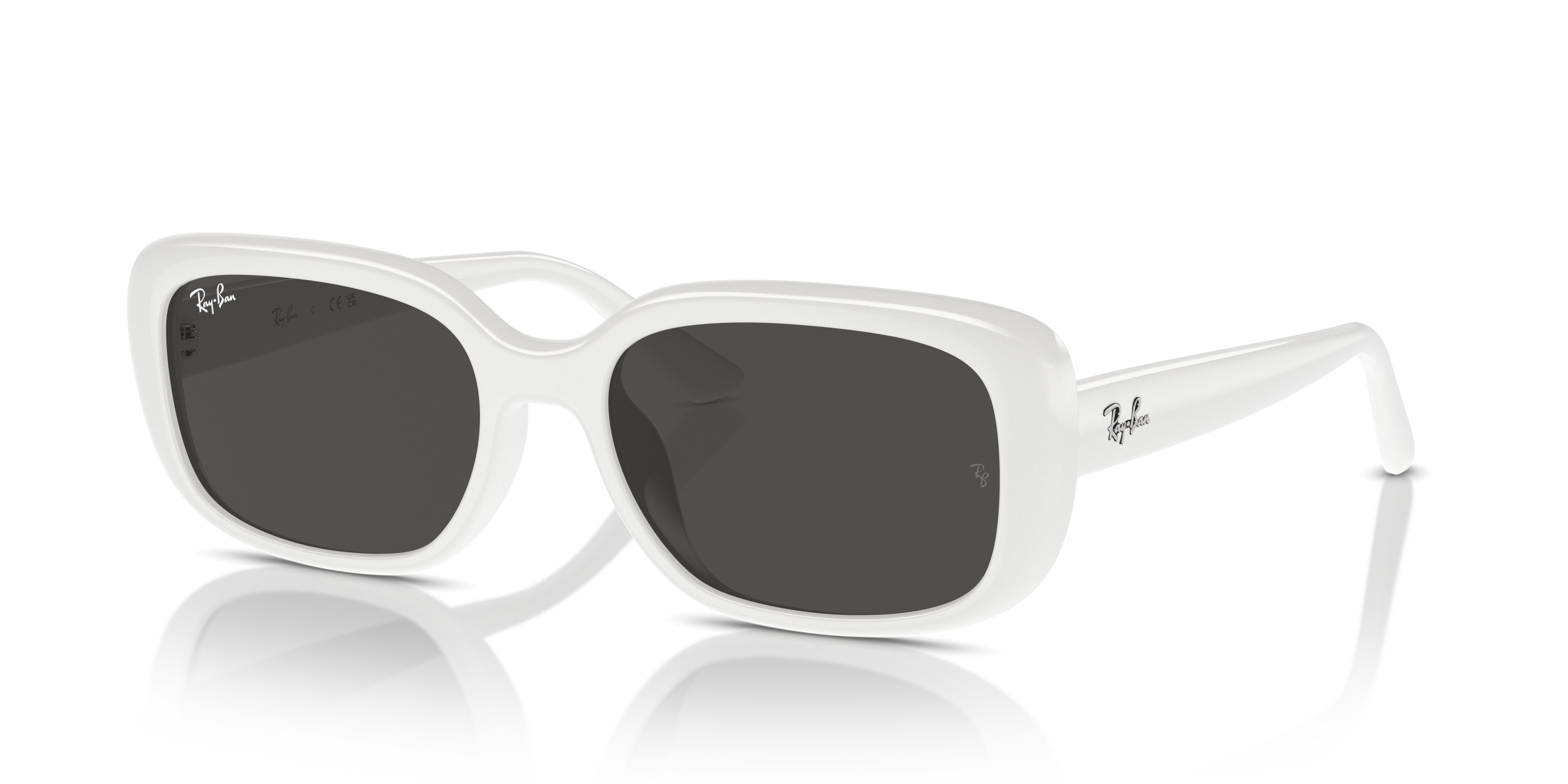 Occhiali da Sole Ray-Ban RB4421D Neri Bio-Based – Acquista Originali