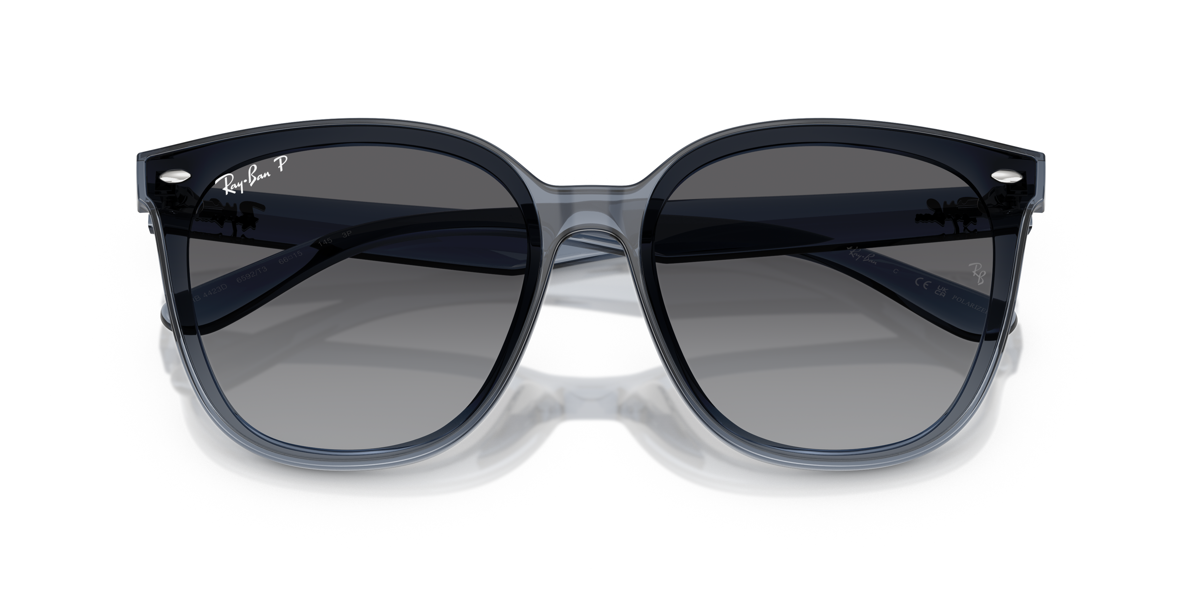 Occhiali da Sole Ray-Ban RB4423D Nero | Modello Originale Unisex