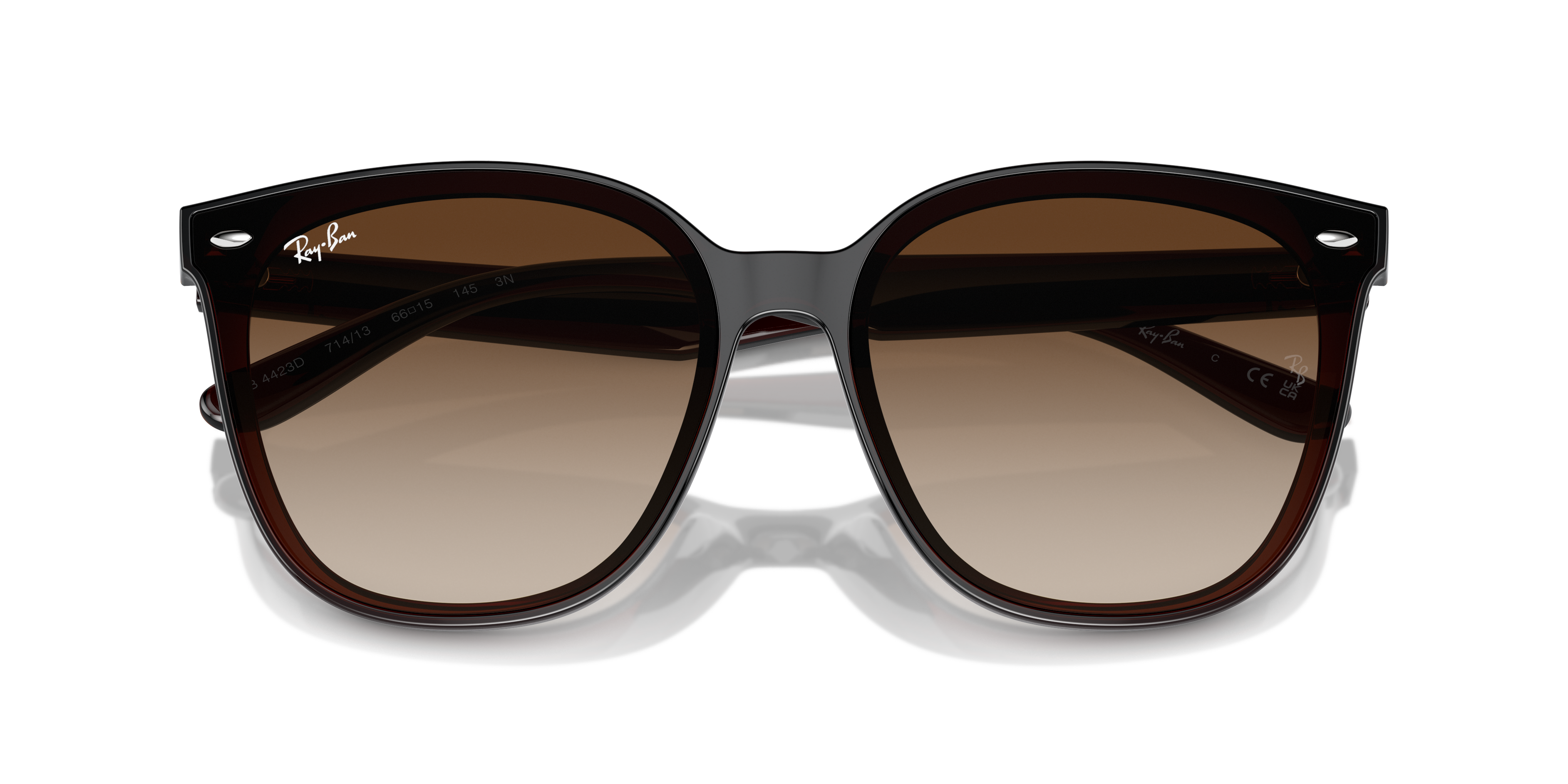 Occhiali da Sole Ray-Ban RB4423D Nero | Modello Originale Unisex