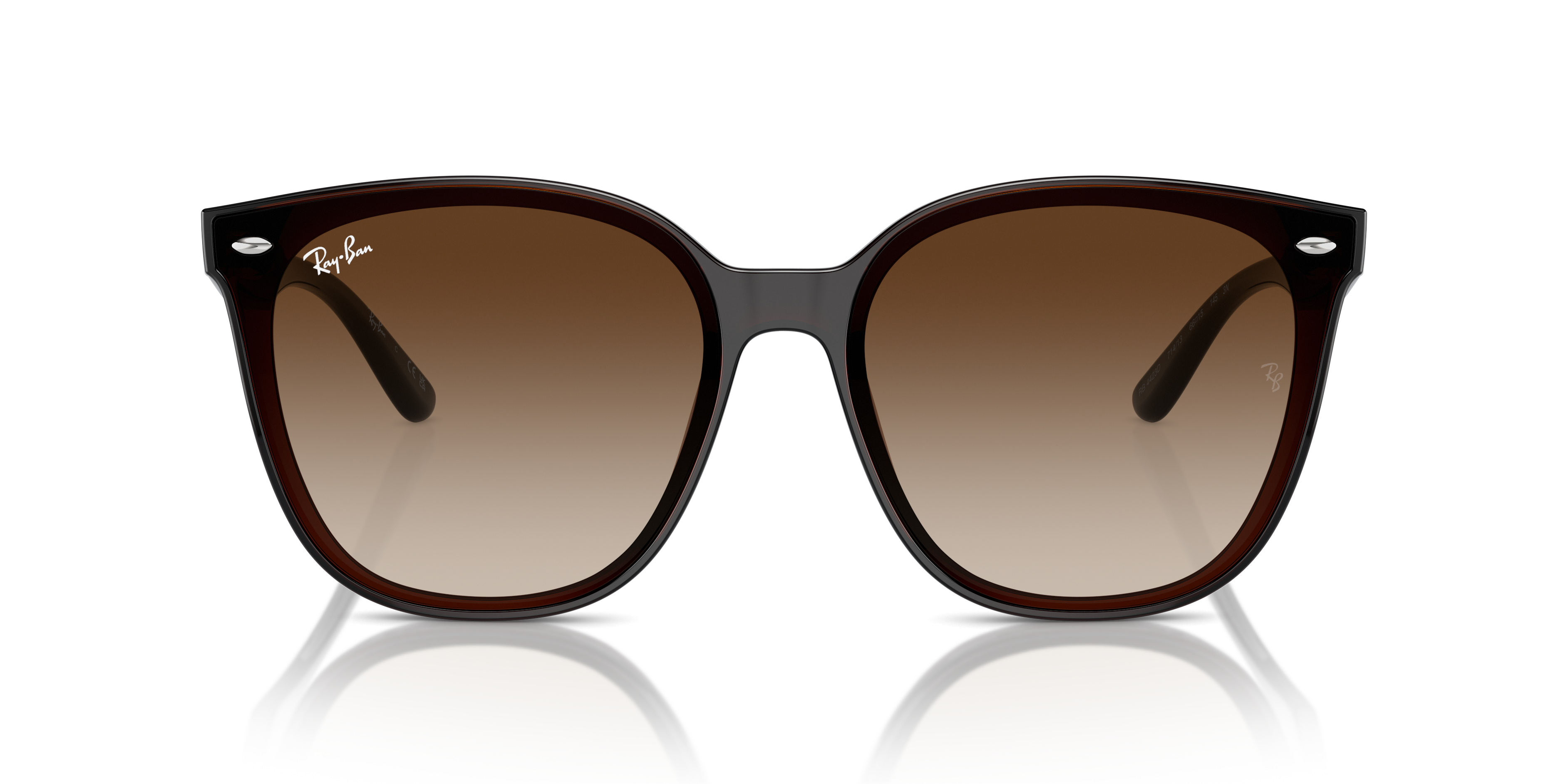 Occhiali da Sole Ray-Ban RB4423D Nero | Modello Originale Unisex