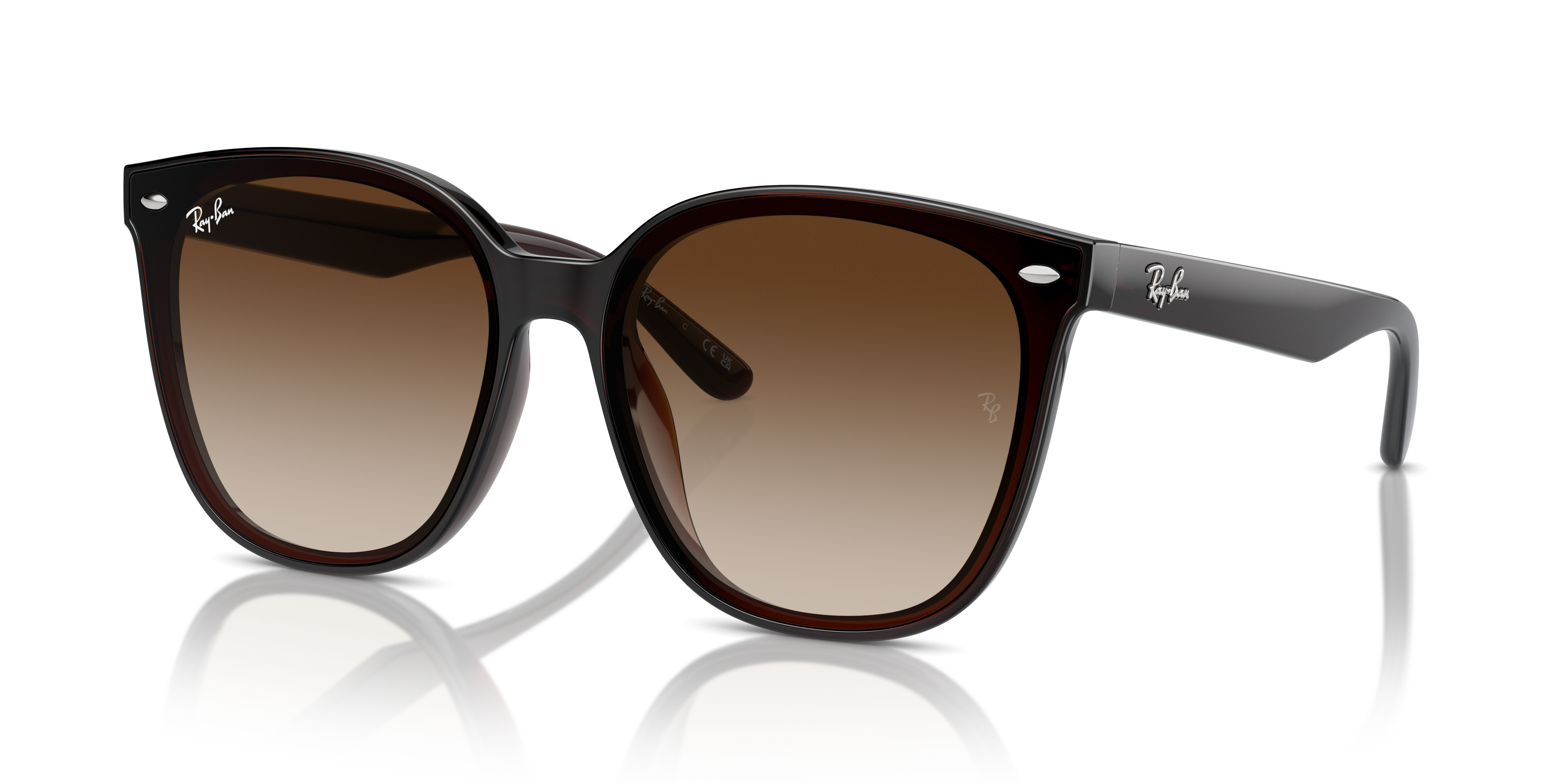 Occhiali da Sole Ray-Ban RB4423D Nero | Modello Originale Unisex