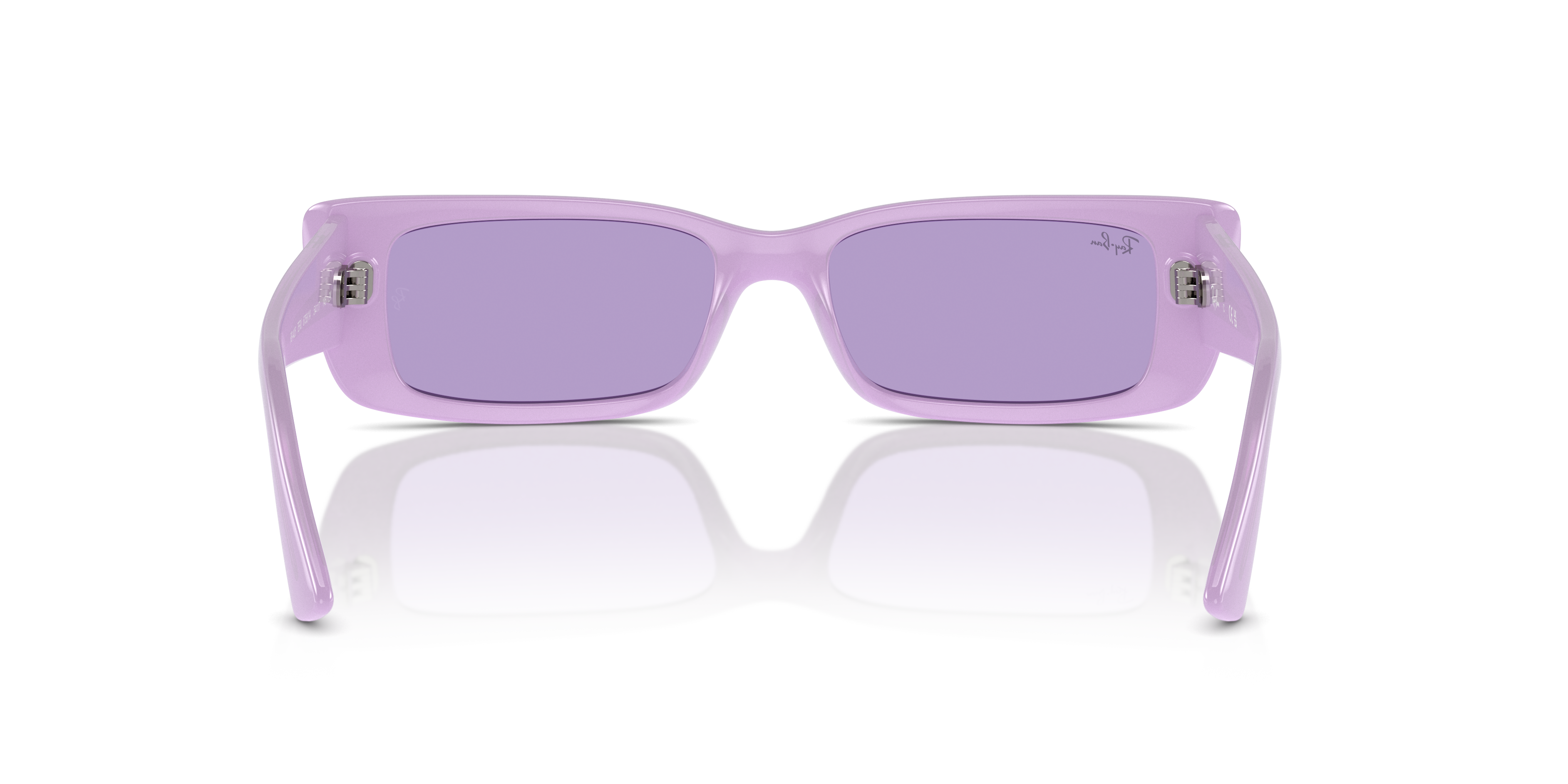 Occhiali da Sole Ray-Ban Teru Lilla 0RB4425 Unisex | Stile Unico
