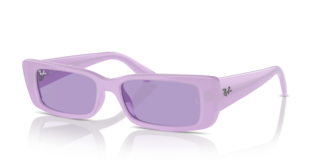 Occhiali da Sole Ray-Ban Teru Lilla 0RB4425 Unisex | Stile Unico