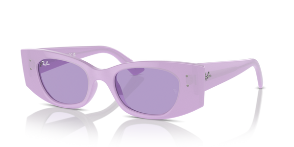 Astucci ricambio originali Ray-Ban ZRB442740