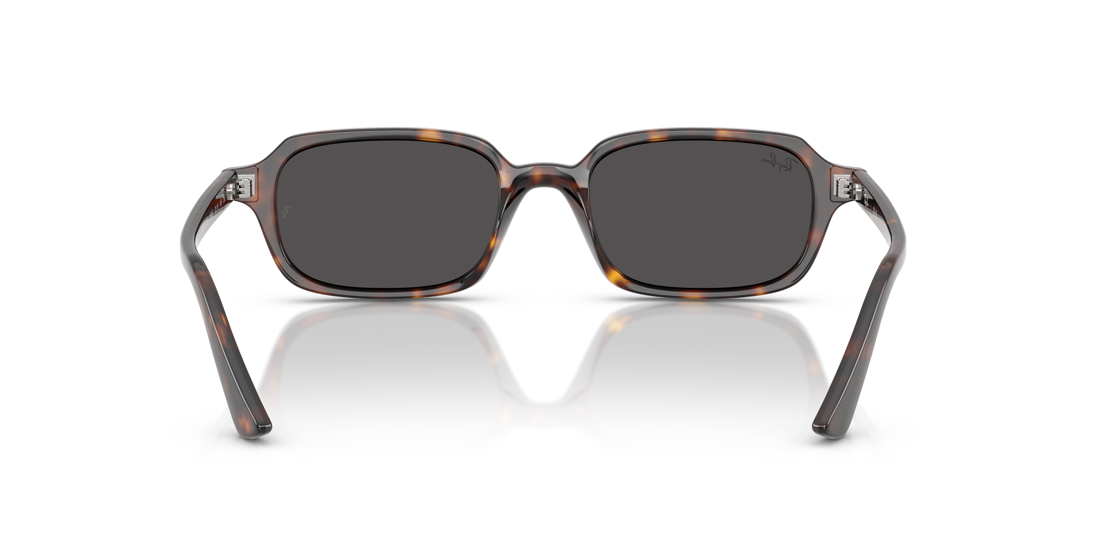 Occhiali da Sole Ray-Ban Zuri Neri 0RB4455 | Protezione ed Eleganza
