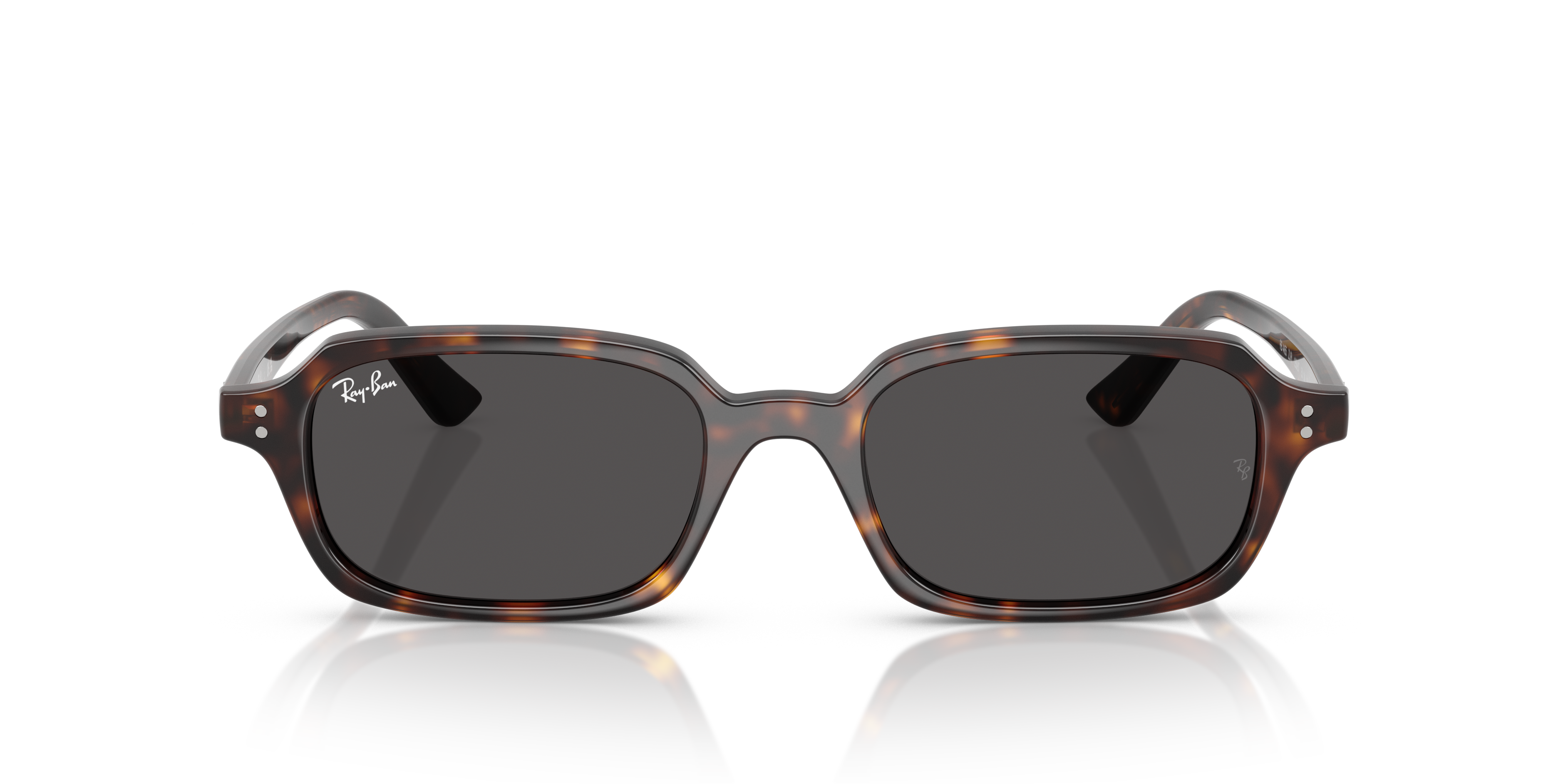 Occhiali da Sole Ray-Ban Zuri Neri 0RB4455 | Protezione ed Eleganza