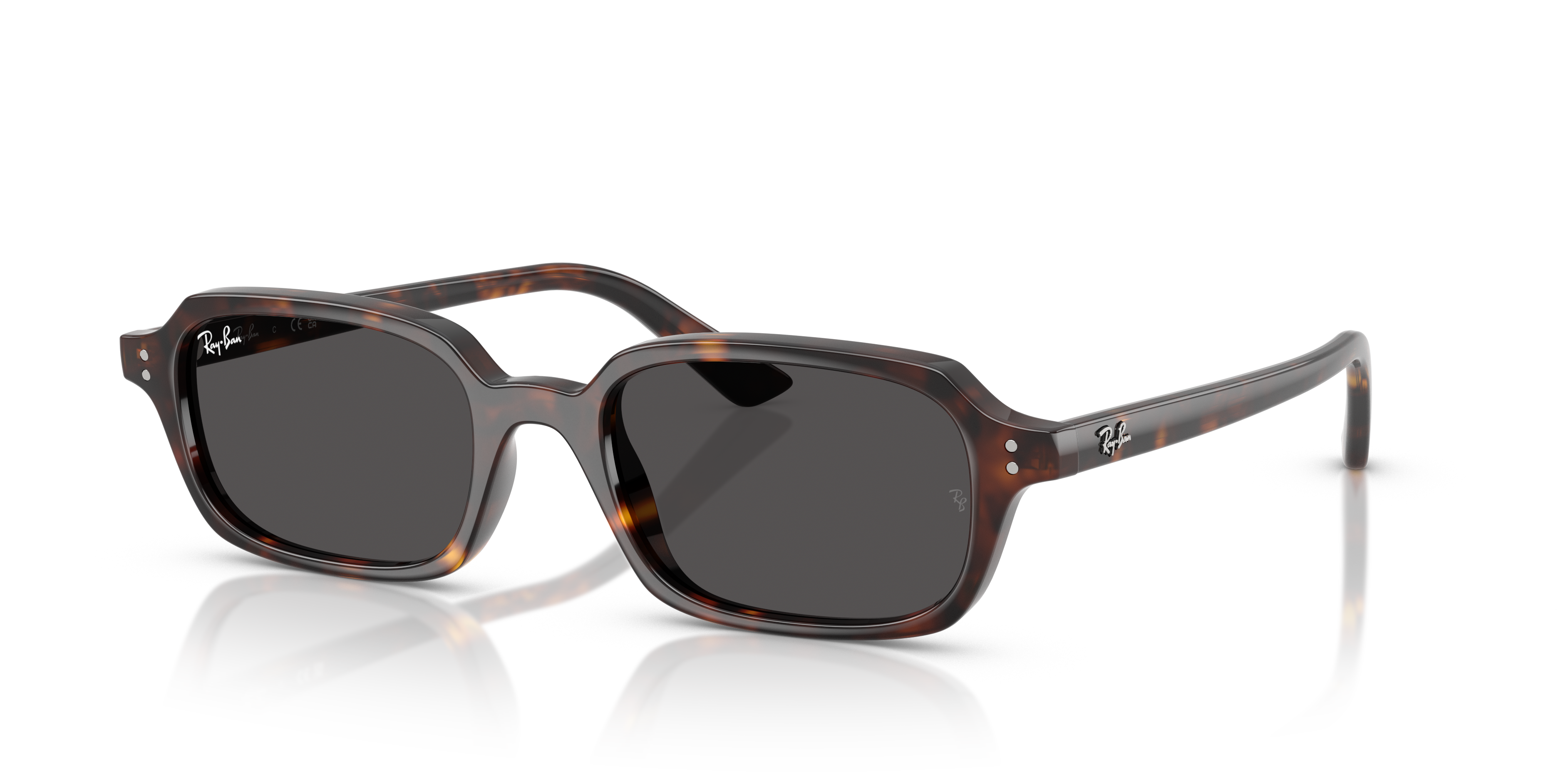 Occhiali da Sole Ray-Ban Zuri Neri 0RB4455 | Protezione ed Eleganza