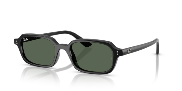 Viti cerniera ricambio originale Ray-Ban ZRB445584
