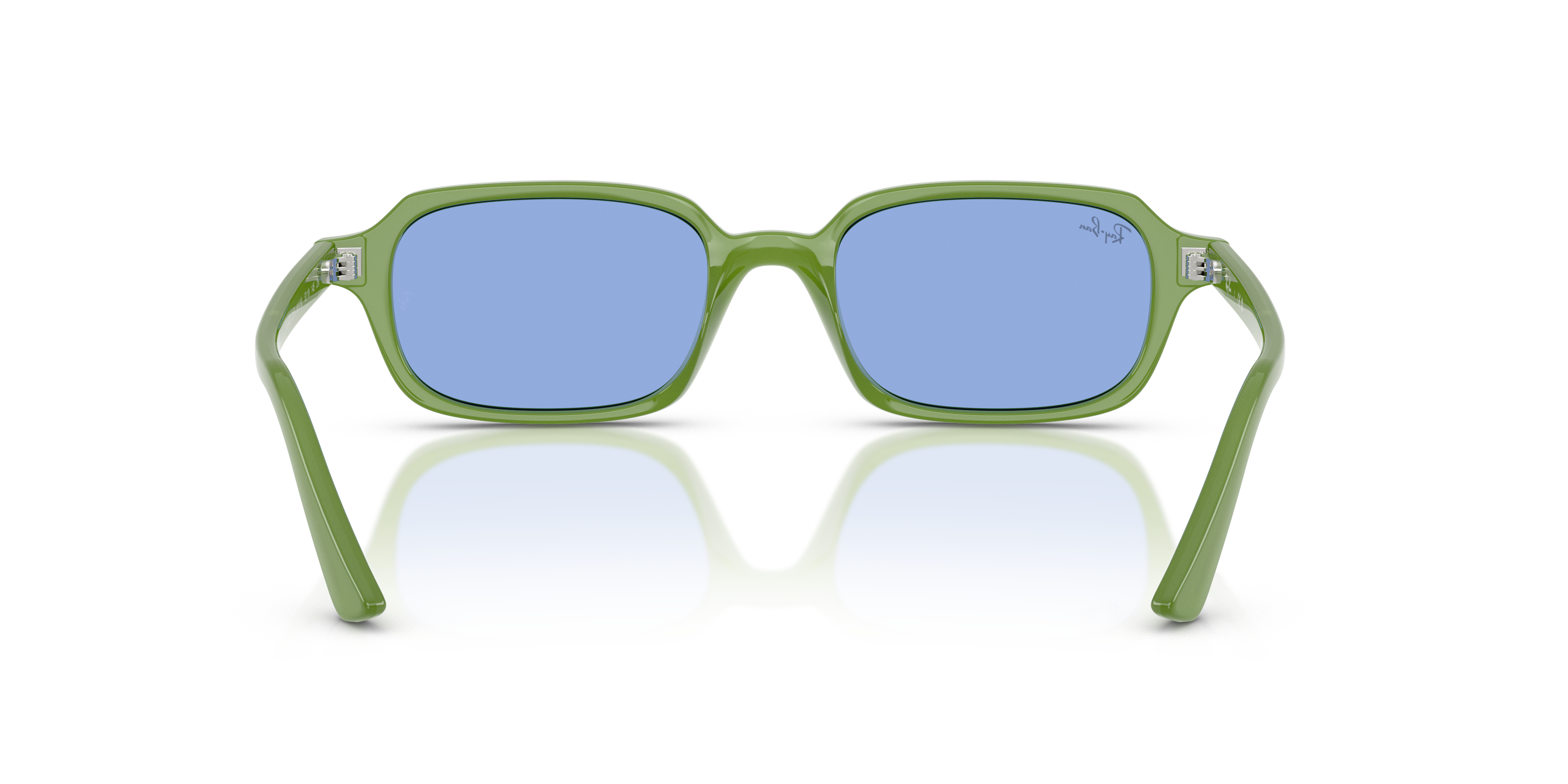 Occhiali da Sole Ray-Ban Zuri Neri 0RB4455 | Protezione ed Eleganza