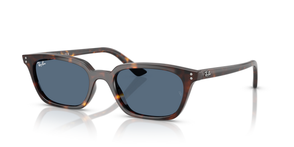 Astucci ricambio originale Ray-Ban ZRB445640