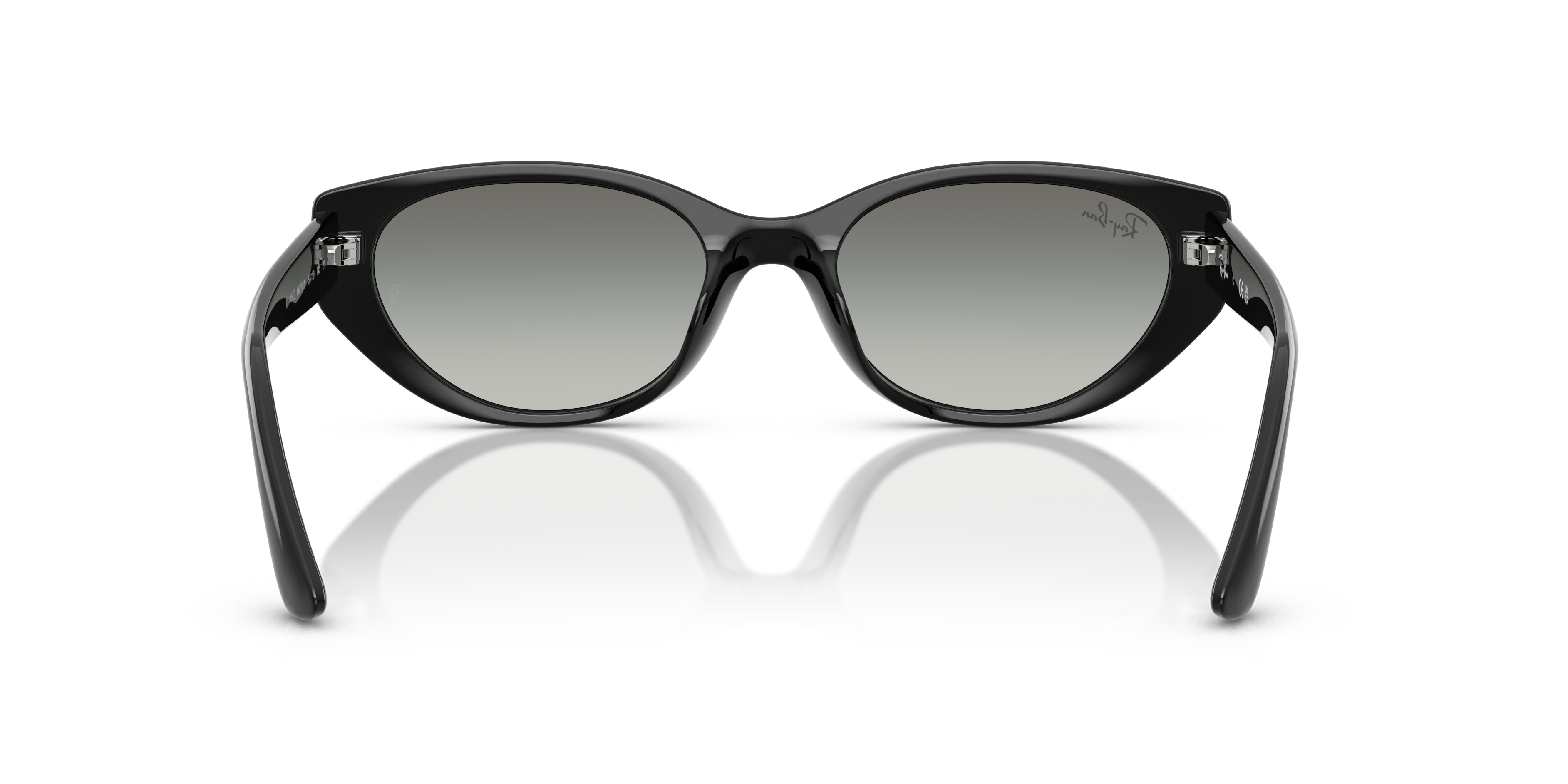 Occhiali da Sole Ray-Ban RB4457D Bio-Based Transparent Brown