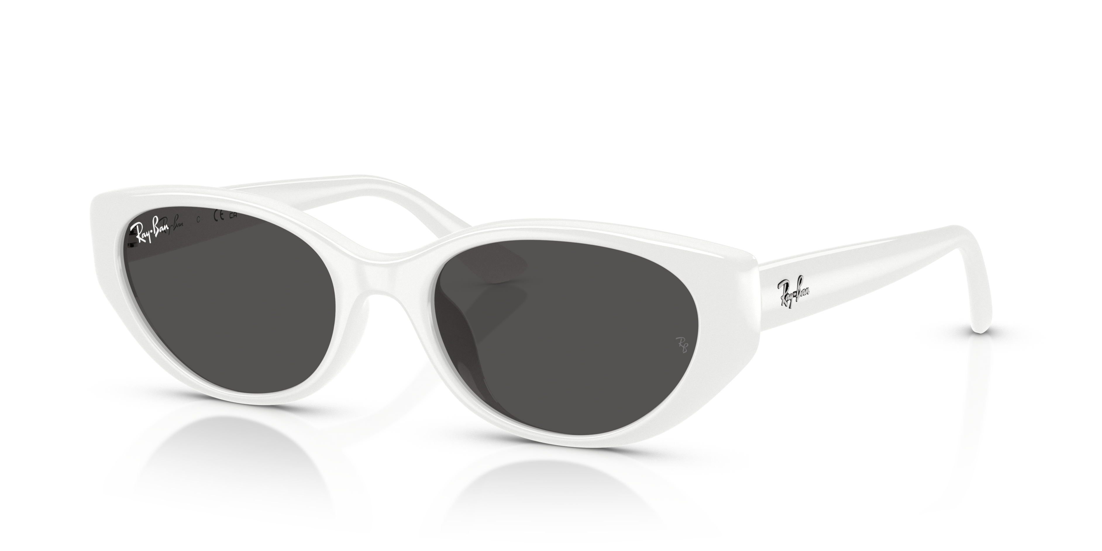 Occhiali da Sole Ray-Ban RB4457D Bio-Based Transparent Brown