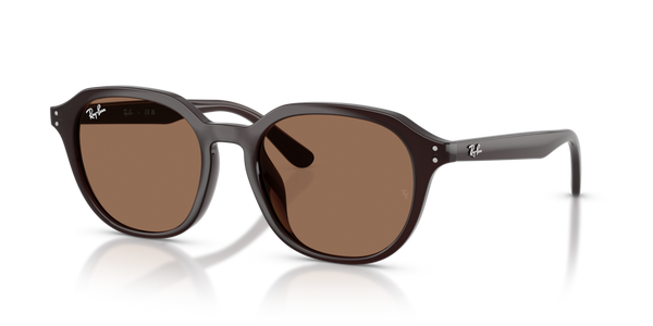 Viti Cerniera ricambio originale Ray-Ban ZRB4459D84