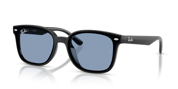 Guarnizione frontale ricambio originale Ray-Ban ZRB4461D72