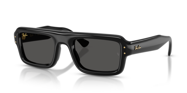 Astucci ricambio originale Ray-Ban ZRB495440