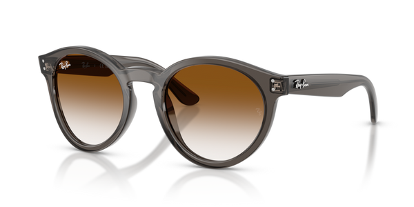 Guarnizione Asta Ricambio Originale Ray-Ban ZRBR0505S71