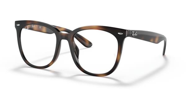 Guarnizione Frontale ricambio originale Ray-Ban ZRX4379VD72