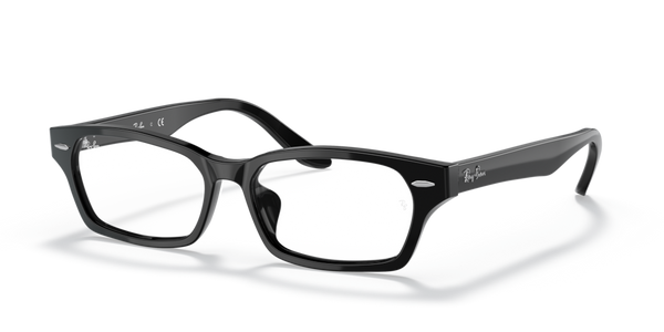 Guarnizione Frontale ricambio originale Ray-Ban ZRX5344D72