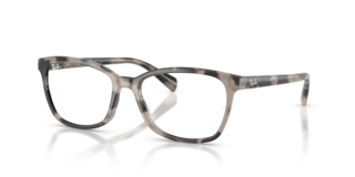 Ray-Ban RB5362 Optics 0RX5362