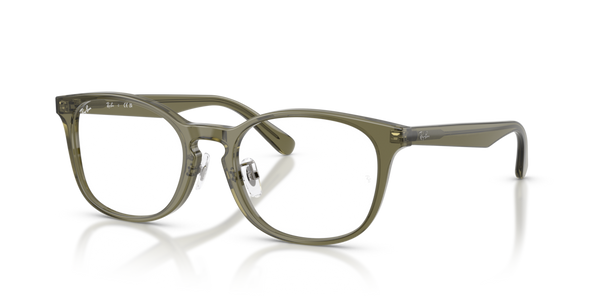 Aletta ricambio originale Ray-Ban ZRX5386D42