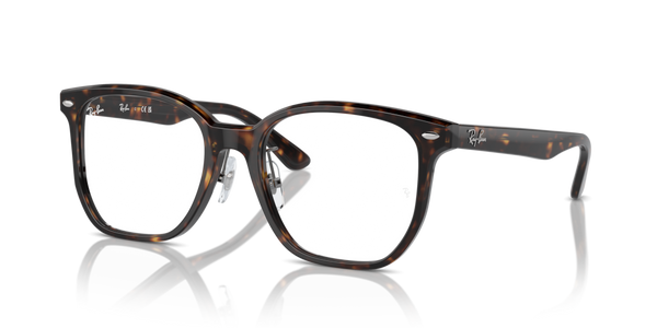 Aletta ricambio originale Ray-Ban ZRX5425D42