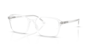 Ray-Ban RAIMOND 0RX5431