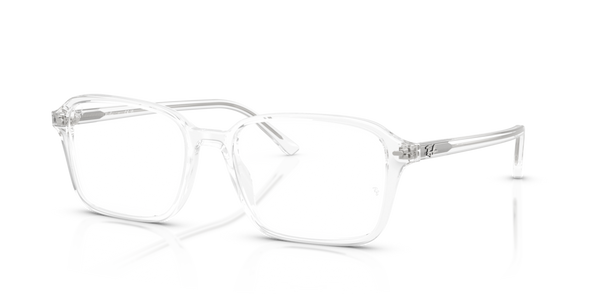 Astucci ricambio originali Ray-Ban ZRX543140