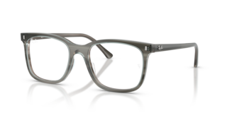 Ray-Ban RB5446 Optics 0RX5446