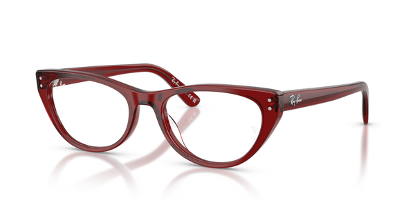 Astucci ricambio originale Ray-Ban ZRX5449D40