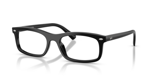 Astucci ricambio originale Ray-Ban ZRX545040