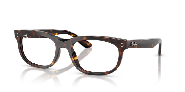 Guarnizione Asta ricambio originale Ray-Ban ZRX548971