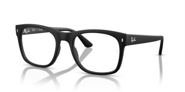 Guarnizione Frontale ricambio originale Ray-Ban ZRX722872
