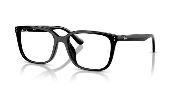 Astucci ricambio originali Ray-Ban ZRX7248D40