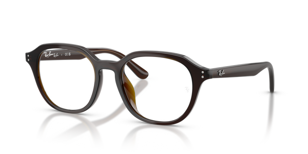 Astucci ricambio originale Ray-Ban ZRX7259D40