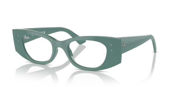 Astucci ricambio originale Ray-Ban ZRX732740