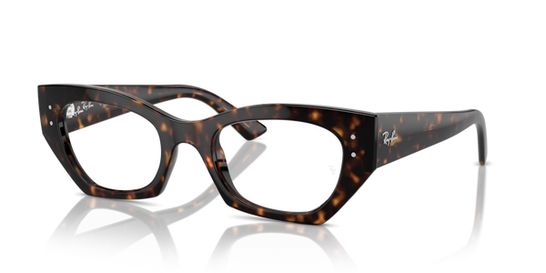 Astucci ricambio originale Ray-Ban ZRX733040