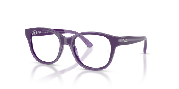 Guarnizione asta ricambio originale Ray-Ban ZRY195071
