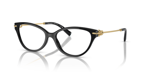Guarnizione terminale ricambio originale Tiffany & Co. ZTF223170