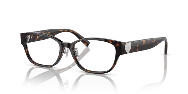 Alette ricambio originali Tiffany & Co. ZTF2243D42