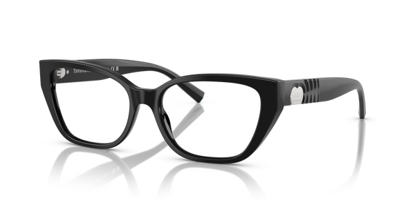 Guarnizione Asta ricambio originale Tiffany & Co. ZTF225971
