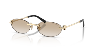 Occhiali da Sole Tiffany TF3119D Pale Gold - Stile Unisex Originale