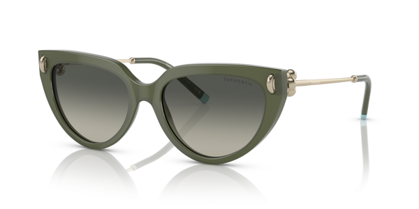 Astucci ricambio originale Tiffany & Co. ZTF419540