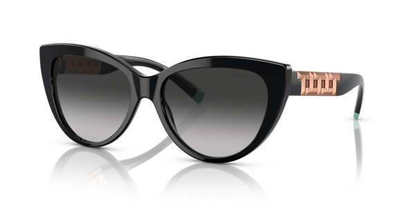 Astucci ricambio originale Tiffany & Co. ZTF419640