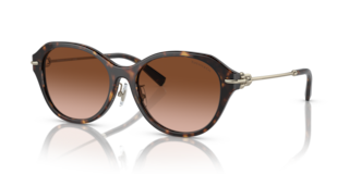Occhiali da Sole Tiffany Donna TF4210D Havana | Originali & Protettivi
