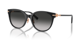 Occhiali da Sole Tiffany Donna TF4223D Neri | Eleganza Iconica