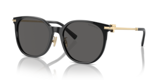 Occhiali da Sole Tiffany TF4224D Donna Neri | Eleganza Iconica