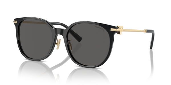 Aletta ricambio originale Tiffany & Co. ZTF4224D42