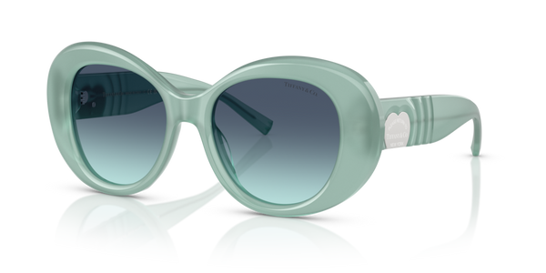 Guarnizione Asta ricambio originale Tiffany & Co. ZTF422871