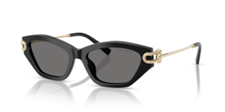 Occhiali da Sole Tiffany Donna Neri 0TF4231U - Stile Iconico